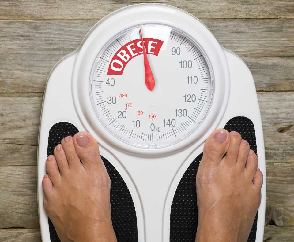 Obesity and weight management